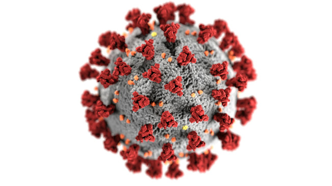 Ilustrasi virus influenza. [Pexels]